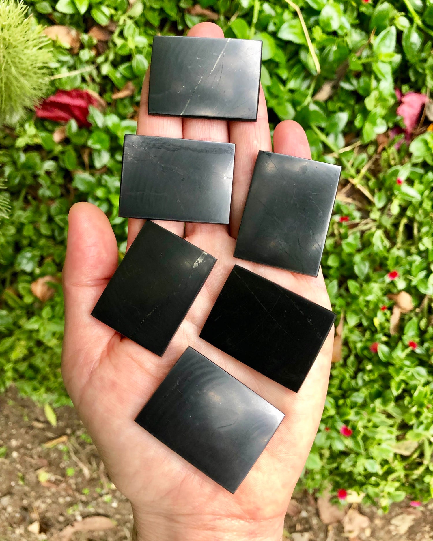 Shungite Products