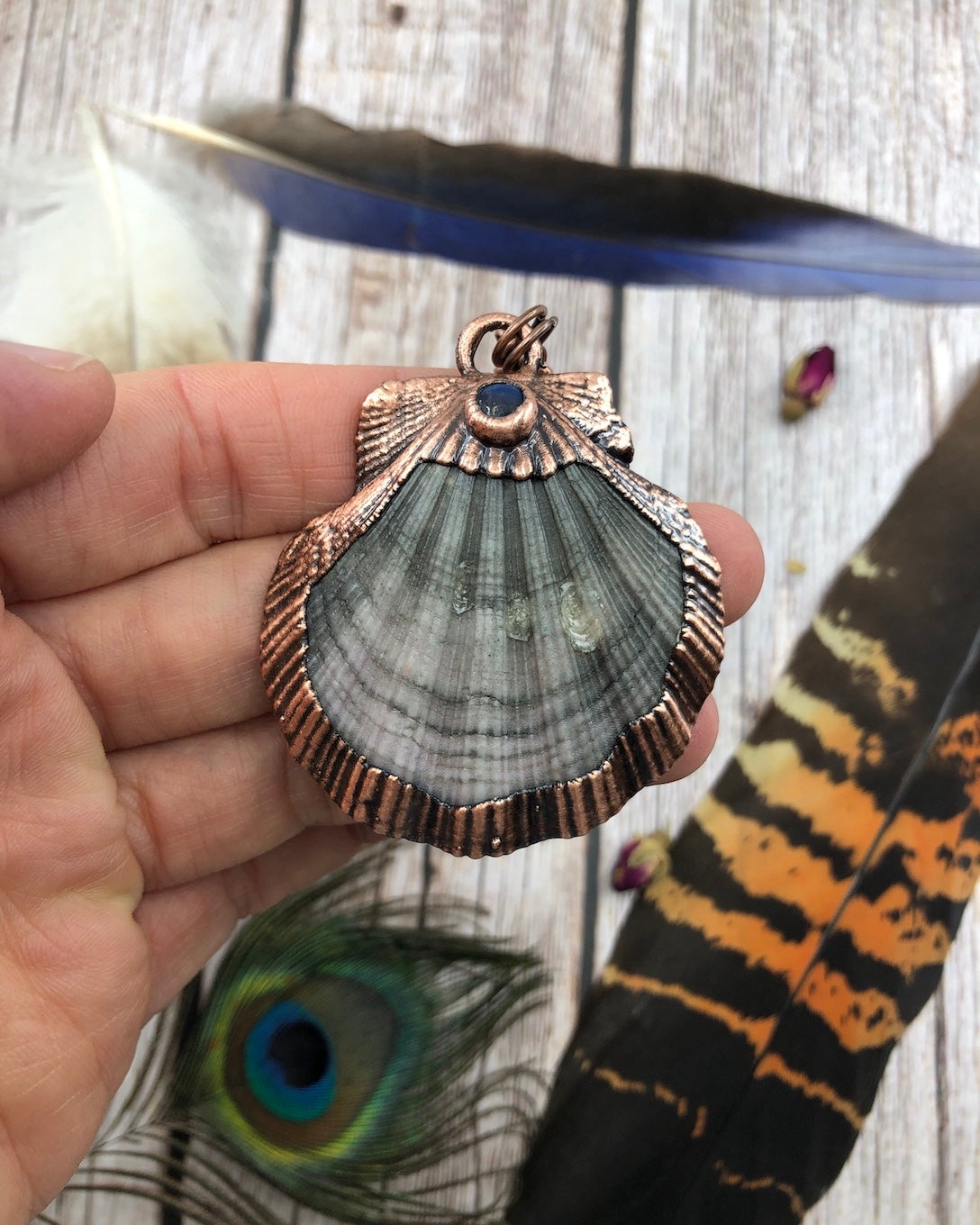 Scallop sea shell copper necklace with labradorite, electroformed