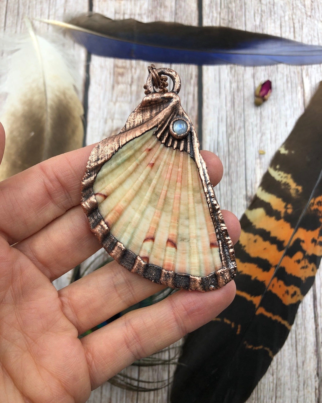 cream colour sea shell copper necklace with rainbow moonstone, electroformed