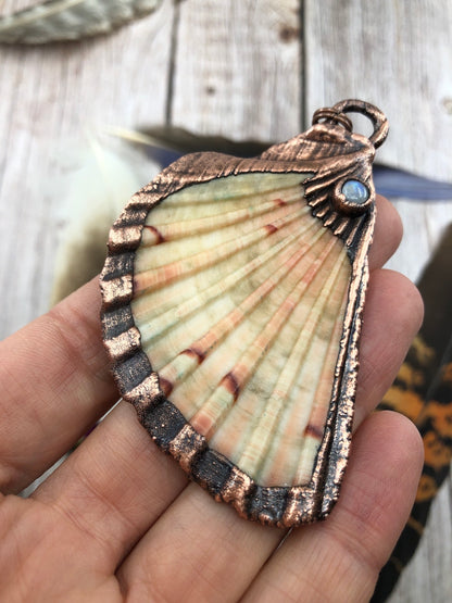 Sea Shell Necklace with Rainbow Moonstone - Copper Electroformed