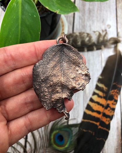 tattered leaf copper electroformed pendant with a real leaf inside