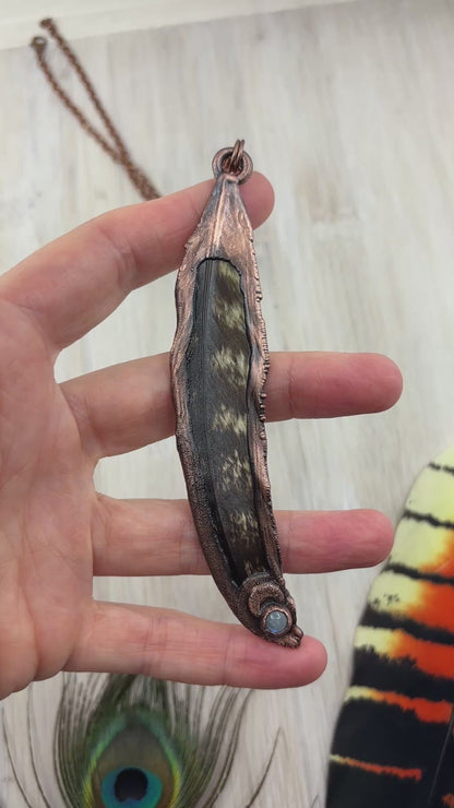 Rainbow Moonstone Tawny Frogmouth Feather Copper Necklace