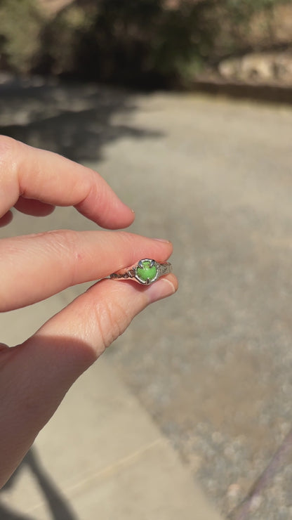 Sterling Silver Sonoran Gold Green Turquoise Ring - 8 US