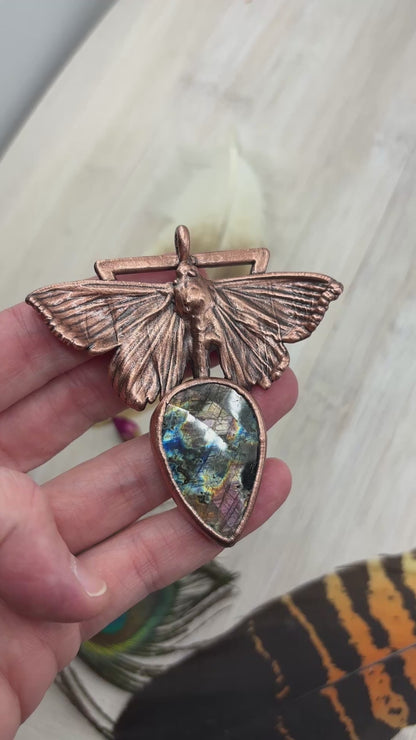 REAL House Moth Necklace with Faceted Labradorite - Electroformed